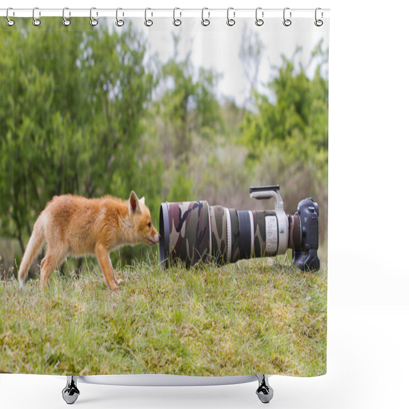 Personality  Fox Looks At The Camera Shower Curtains