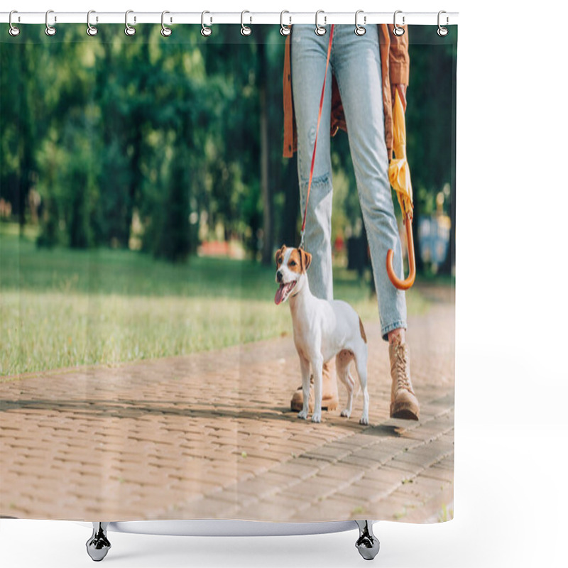 Personality  Cropped View Of Jack Russell Terrier On Leash Standing Near Woman With Umbrella In Park  Shower Curtains