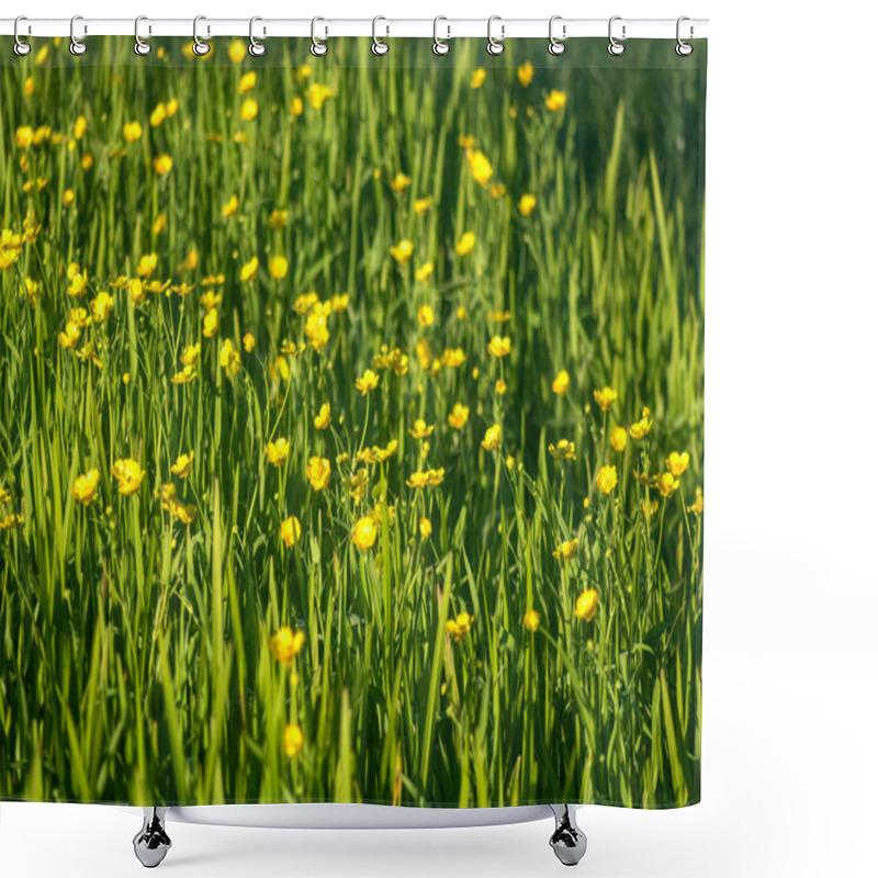 Personality  Vibrant Meadow Filled With Lush Green Grass And Bright Yellow Buttercups Under Soft Sunlight, Creating A Serene, Natural Landscape Teeming With Life And Springtime Beauty Shower Curtains