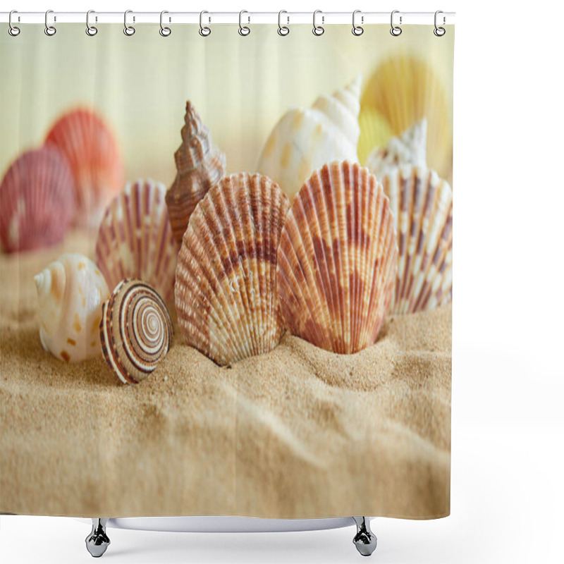 Personality  Collection Of Shells On Sandy Beach Shower Curtains