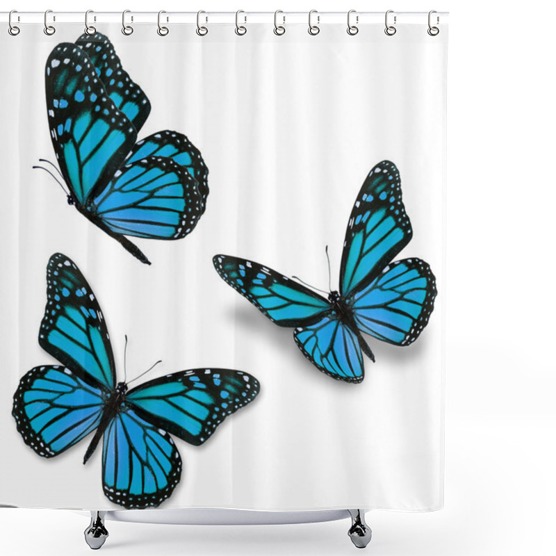 Personality  Blue Monarch Butterfly Shower Curtains