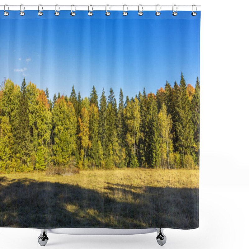 Personality  Sunlit Autumn Trees And Grassy Meadow In Serene Forest Landscape. Sweden. Shower Curtains