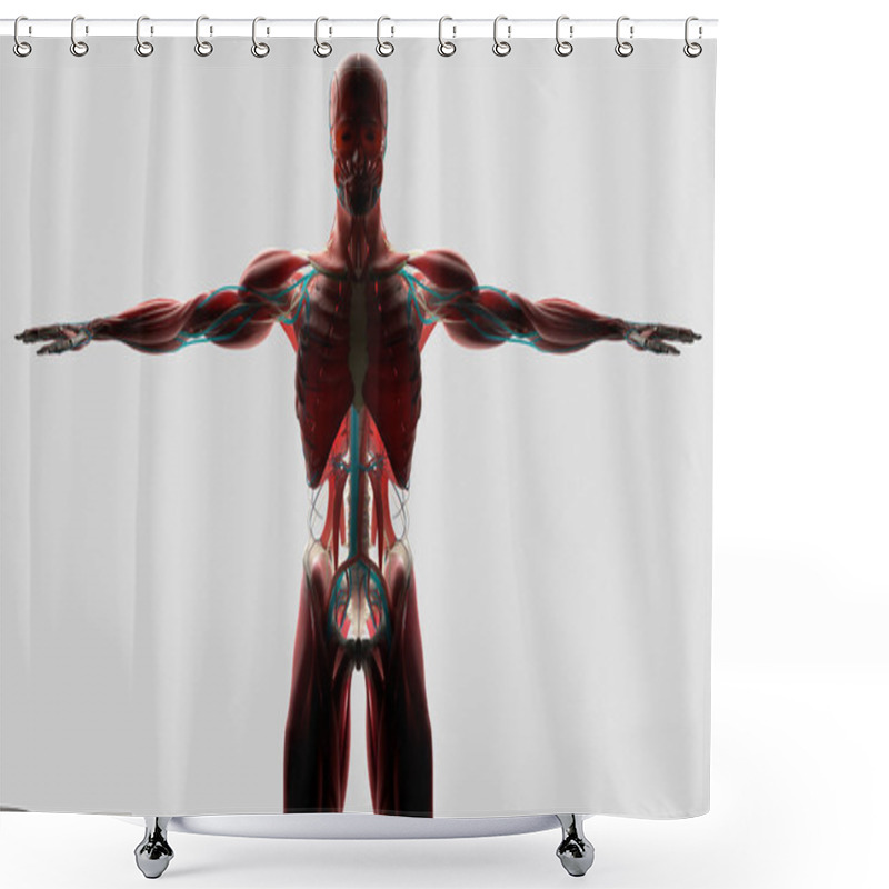 Personality  Human Anatomy Model Shower Curtains