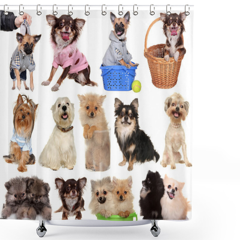 Personality  Set Dogs Isolated On White Background. Shower Curtains