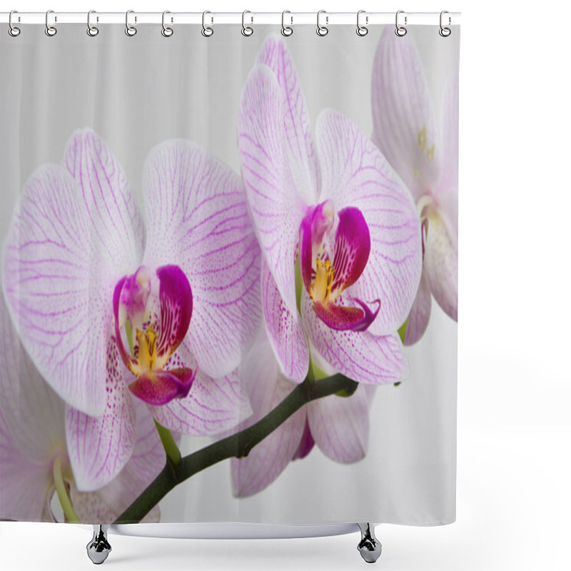 Personality  Flowers Orchids Shower Curtains