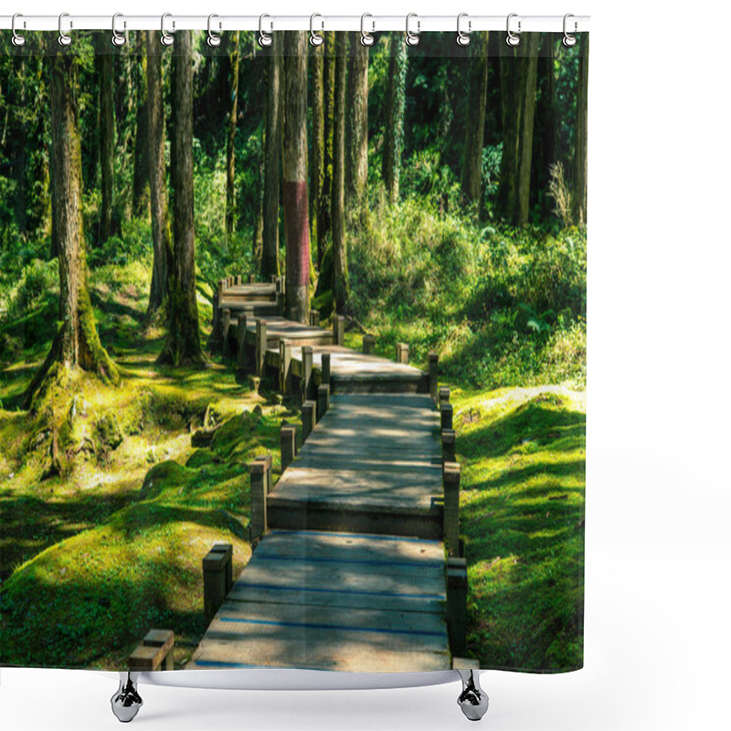 Personality  Wooden Walkway In The Forest Shower Curtains