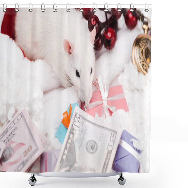 Personality  Selective Focus Of Small Mouse Near Presents And Dollar Banknotes  Shower Curtains