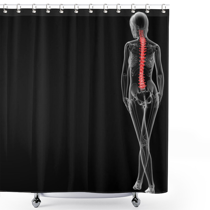 Personality  spine bone shower curtains