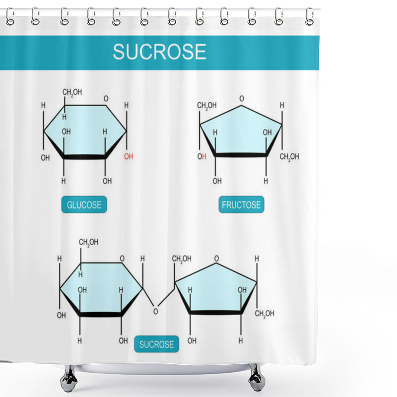 Personality  Sucrose, Fructose And Glucose Molecules. Molecular Chemical Structural Formula And Model Of Disaccharide.  Vector Illustration Shower Curtains