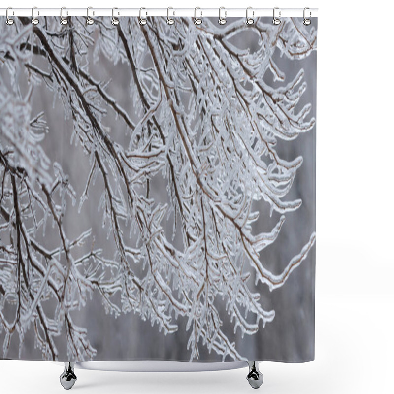 Personality  Icy Tree Crown On A Blurred Natural Background. Branches In Ice, Part Of A Tree. Background Shower Curtains