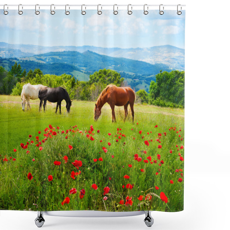 Personality  There Horses Grazing Grass Shower Curtains