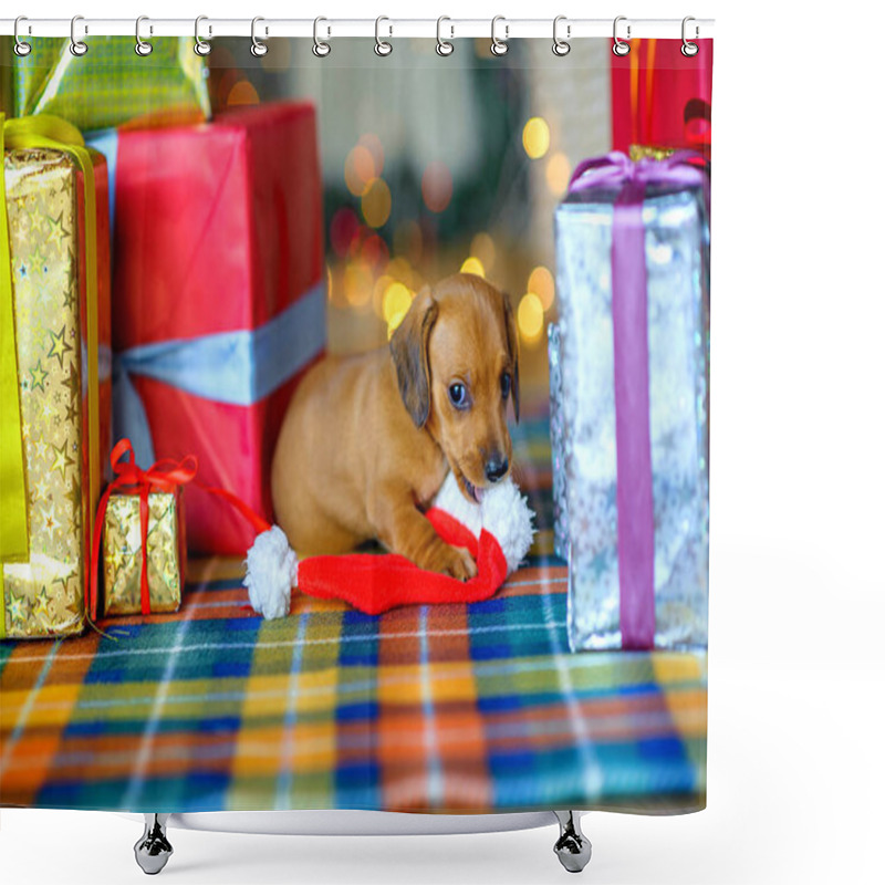 Personality  2018 Year Of The Dog Shower Curtains