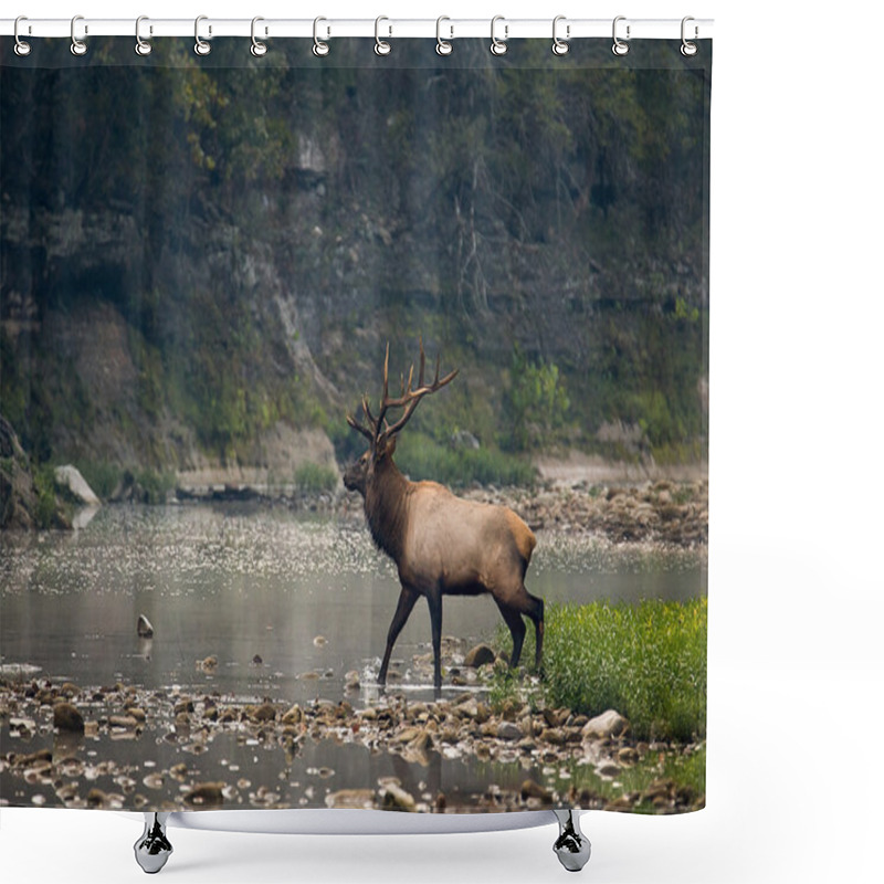 Personality  Trophy-class Bull Elk Shower Curtains