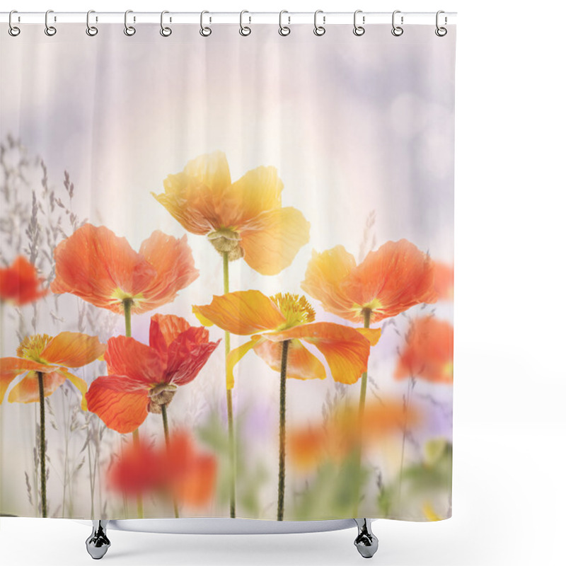 Personality  Poppy Flowers Blossom Shower Curtains