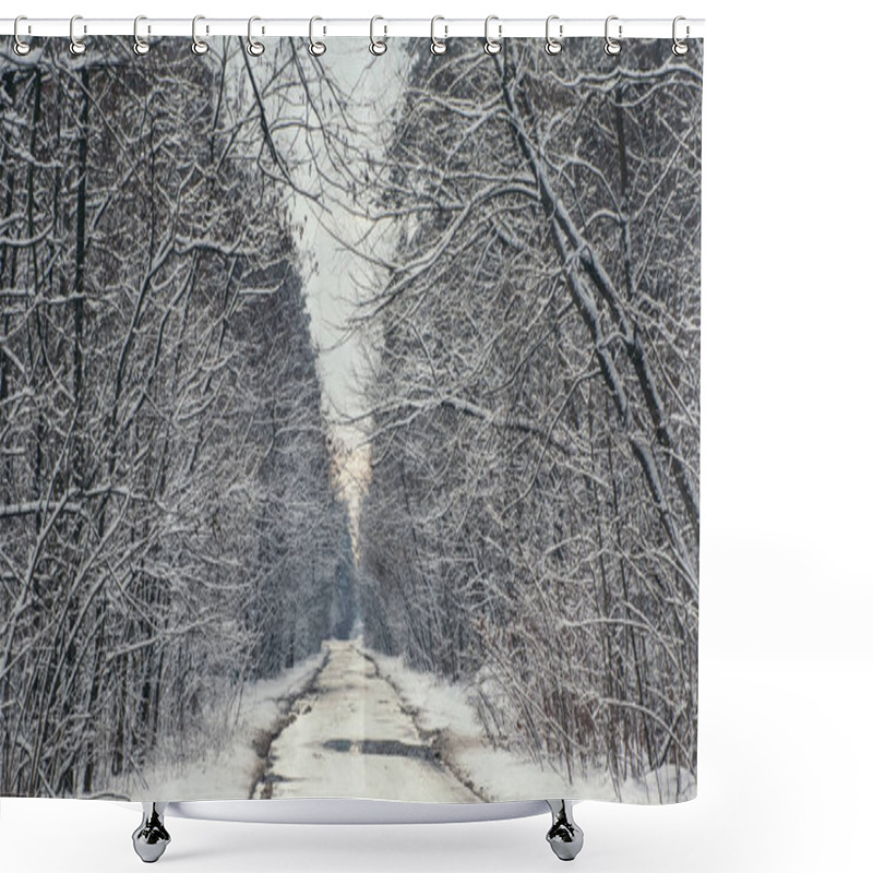 Personality  Road And Trees In Snowy Forest In Winter During Sunset Shower Curtains