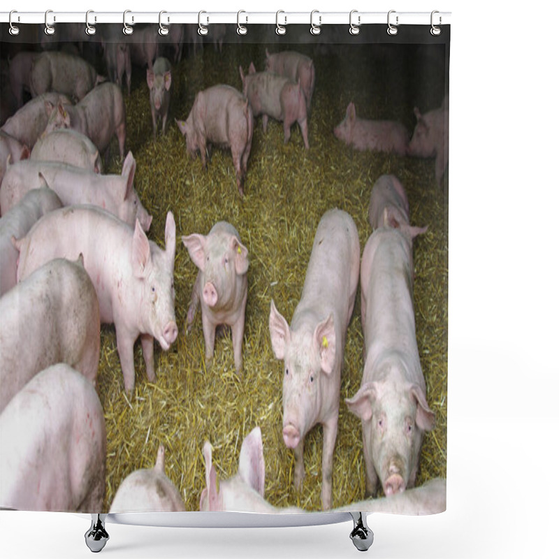 Personality  Pig In A Pigsty With Straw Shower Curtains