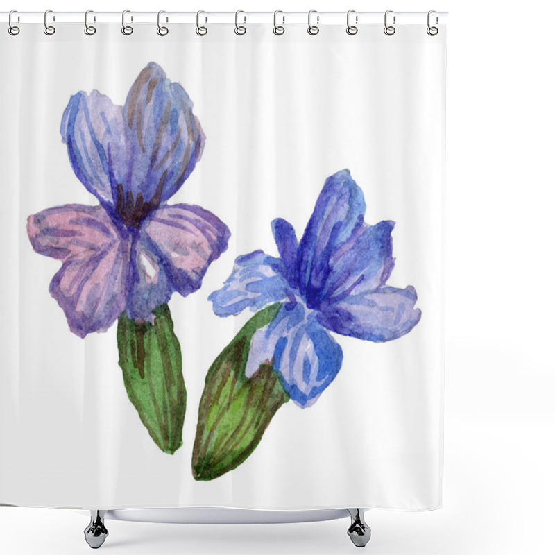 Personality  Purple Lavender Flowers. Wild Spring Wildflowers Isolated On White. Hand Drawn Lavender Flowers In Aquarelle. Watercolor Background Illustration. Shower Curtains