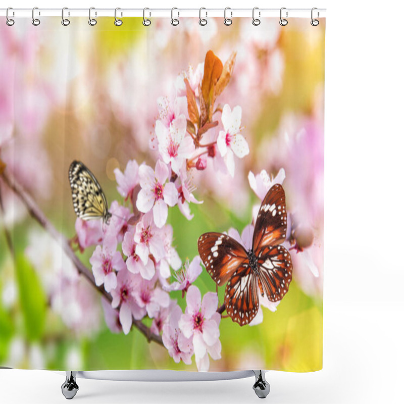 Personality  Spring Blossoms With Exotic Butterfly. Shower Curtains