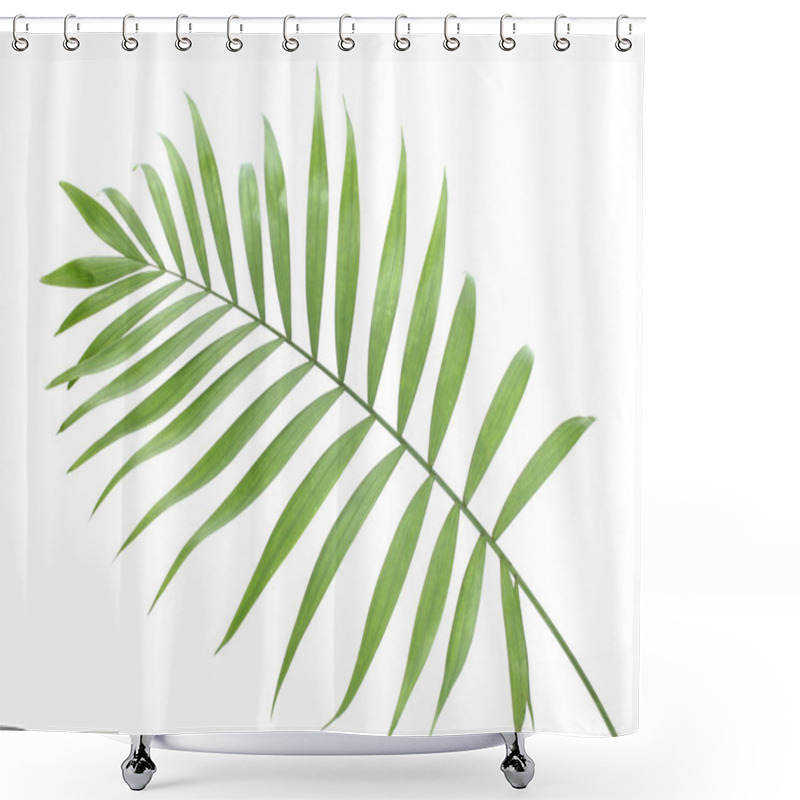 Personality  Beautiful Green Palm Leaf Isolated On White Shower Curtains