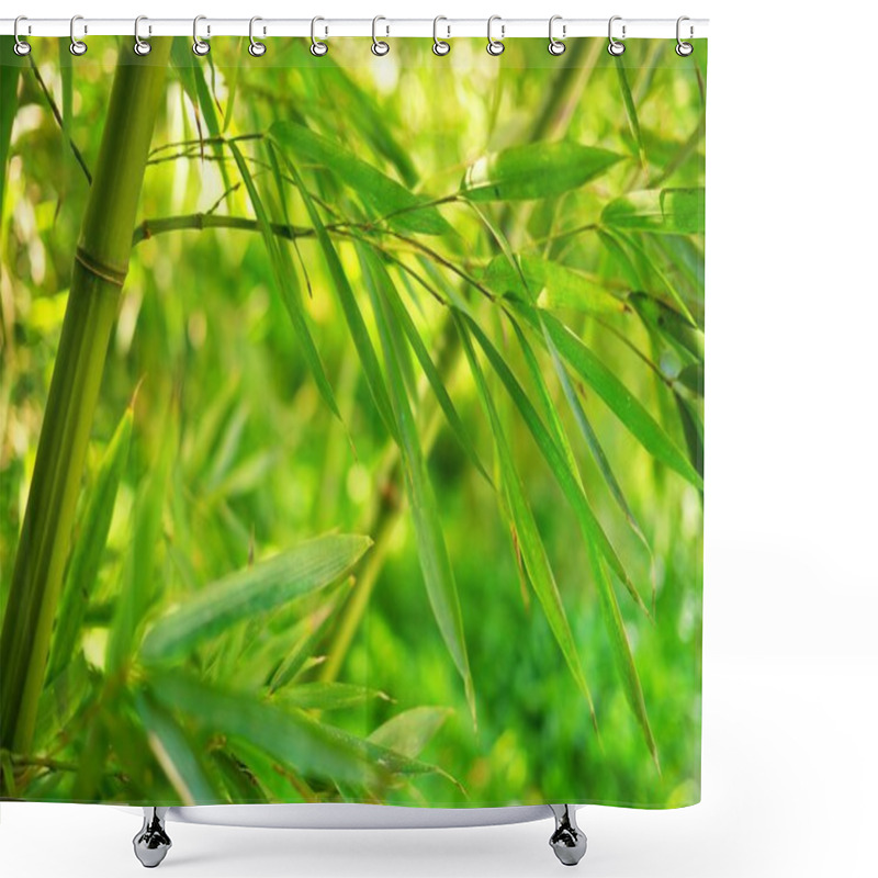 Personality  Bamboo Tree Shower Curtains