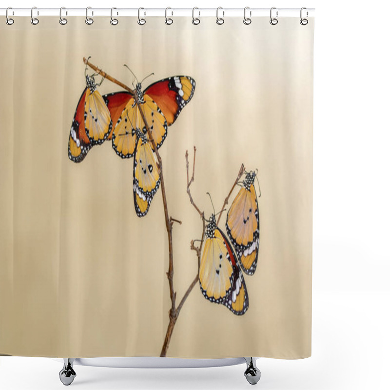 Personality  Closeup   Beautiful Butterflies Sitting On Flower. Shower Curtains