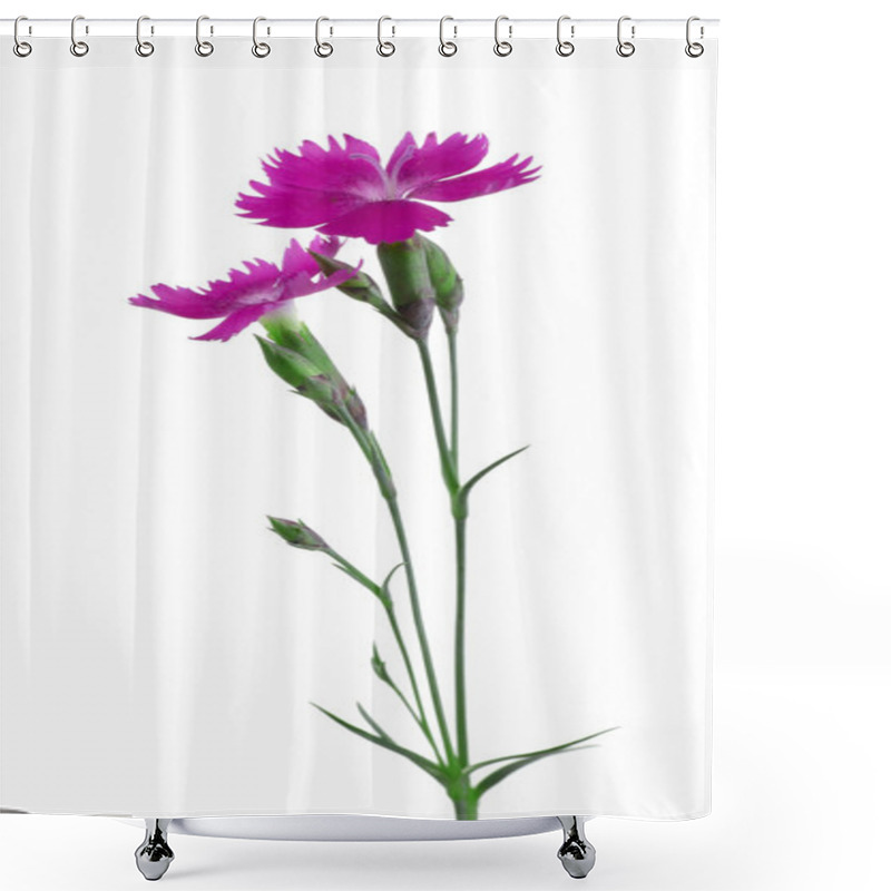 Personality  Little Pink Carnations    Shower Curtains