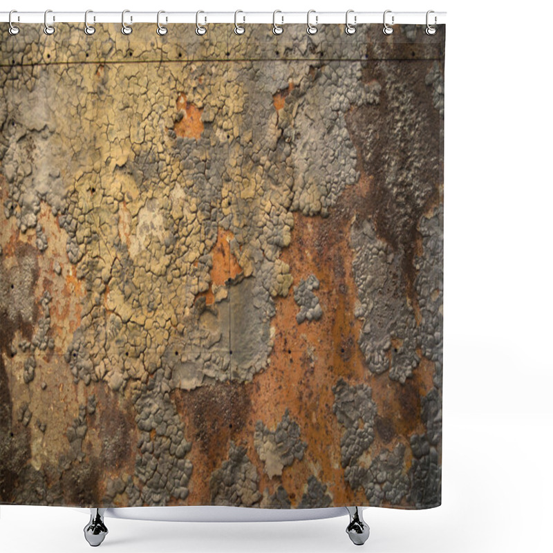 Personality  Rusty Metal Panel Shower Curtains