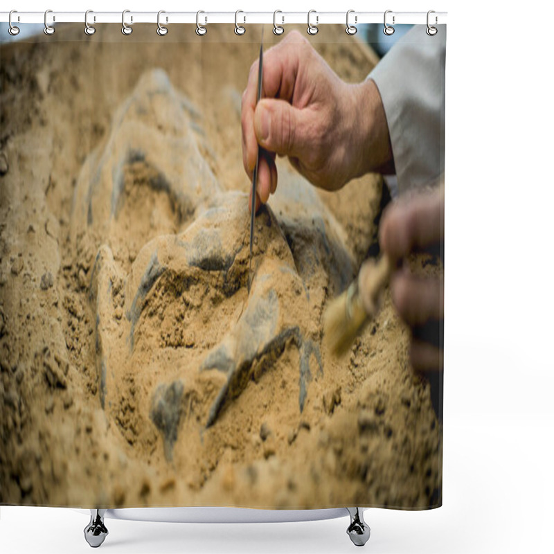 Personality  Close Up Shot Of Cleaning Fossil Remains Of Extinct Civilization From Sand Using Professional Tool And Brush. Archaeologist Works With Bones Of Prehistoric Human Or Dinosaur In Archaeological Lab. Shower Curtains