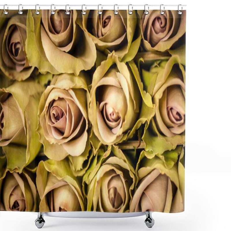 Personality  Roses Shower Curtains