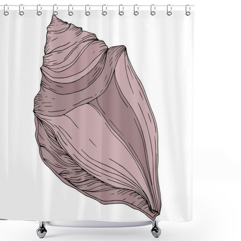 Personality  Summer Beach Seashell Tropical Elements. Black And White Engraved Ink Art. Isolated Shells Illustration Element. Shower Curtains