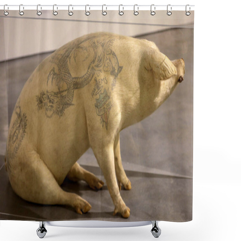 Personality  Cracow, Poland - April 25, 2019: An Embalmed Pig Named Slobodan Raised And Tattooed On A Chinese Farm By Belgian Artist Wim Velvoye. The Nature In Art Exhibition At Mocak Museum Of Contemporary Art In Krakow Shower Curtains