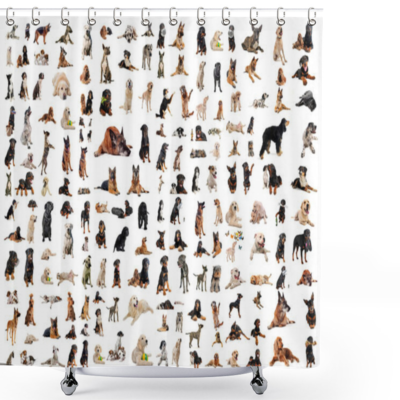 Personality  Group Of Dogs Shower Curtains