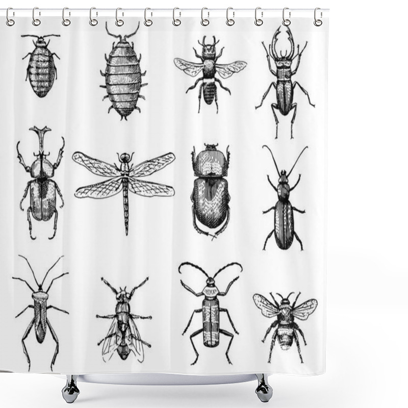 Personality  Big Set Of Insects Bugs Beetles And Bees Many Species In Vintage Old Hand Drawn Style Engraved Illustration Woodcut Shower Curtains