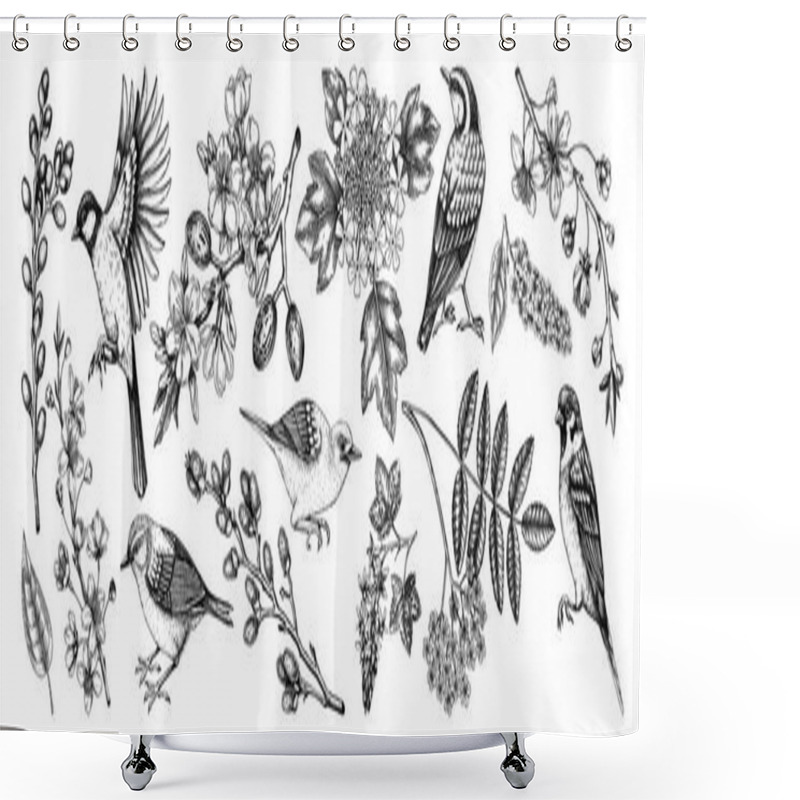 Personality  Flowering Branches And Birds Drawings Collection. Hand-drawn Cherry, Almond, Willow, Currant Flower Sketches Set. Botanical Vector Illustrations Of Spring Blooming Trees Isolated On White Background Shower Curtains