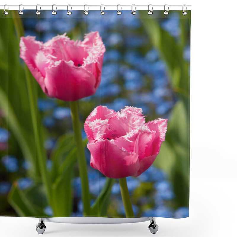 Personality  Pink Tulips Shower Curtains