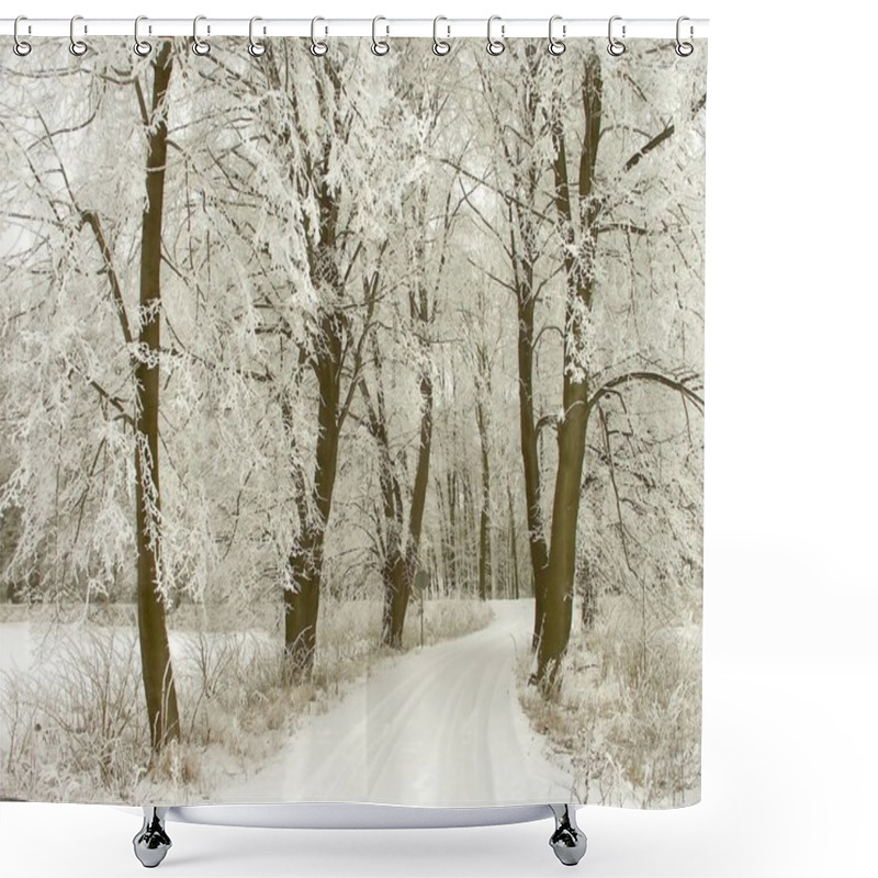 Personality  Rural Road Through Winter Forest Shower Curtains