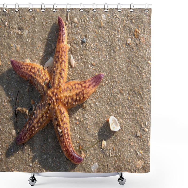 Personality  Star Fish On Caribbean Beach Shower Curtains