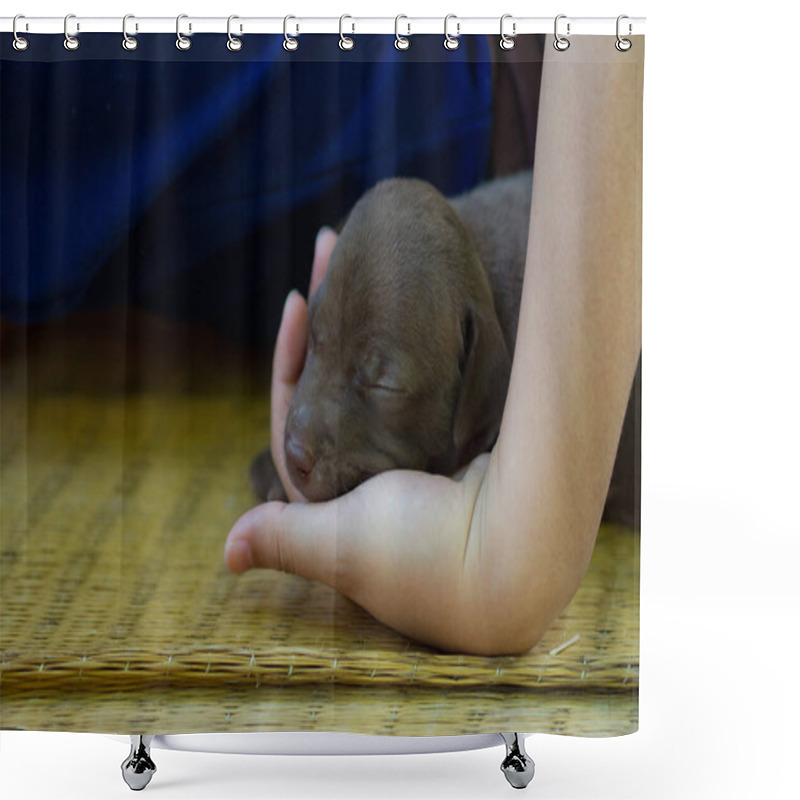 Personality  Puppy, Cute Baby Dog, Sleeping Shower Curtains