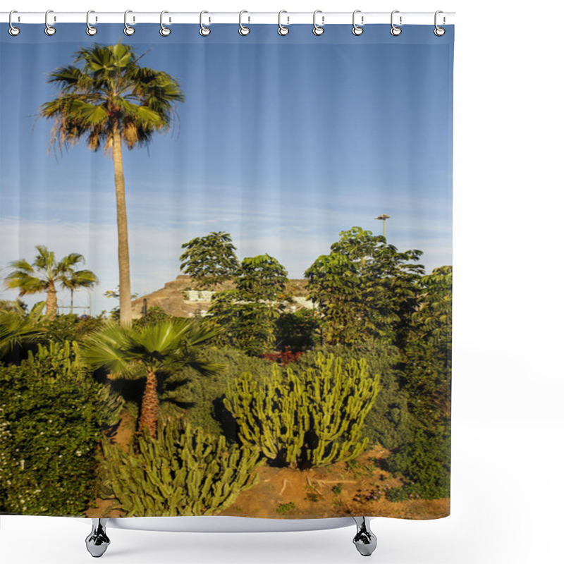 Personality  Gran Canaria Island, Spain Shower Curtains