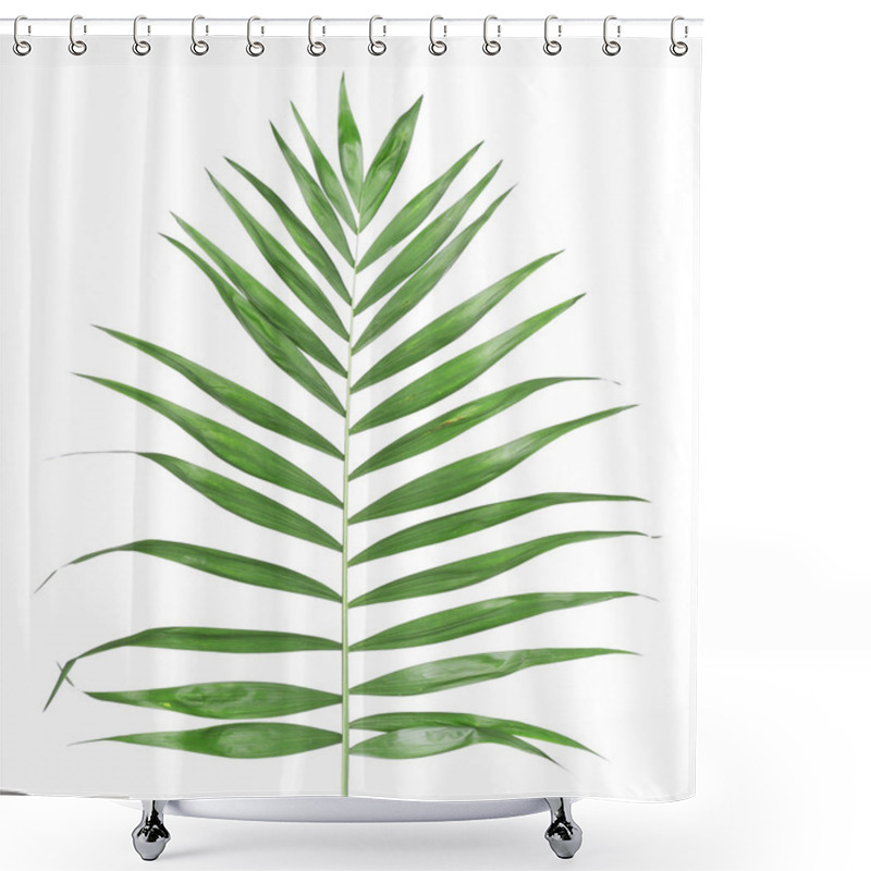 Personality  Beautiful Palm Leaf Shower Curtains