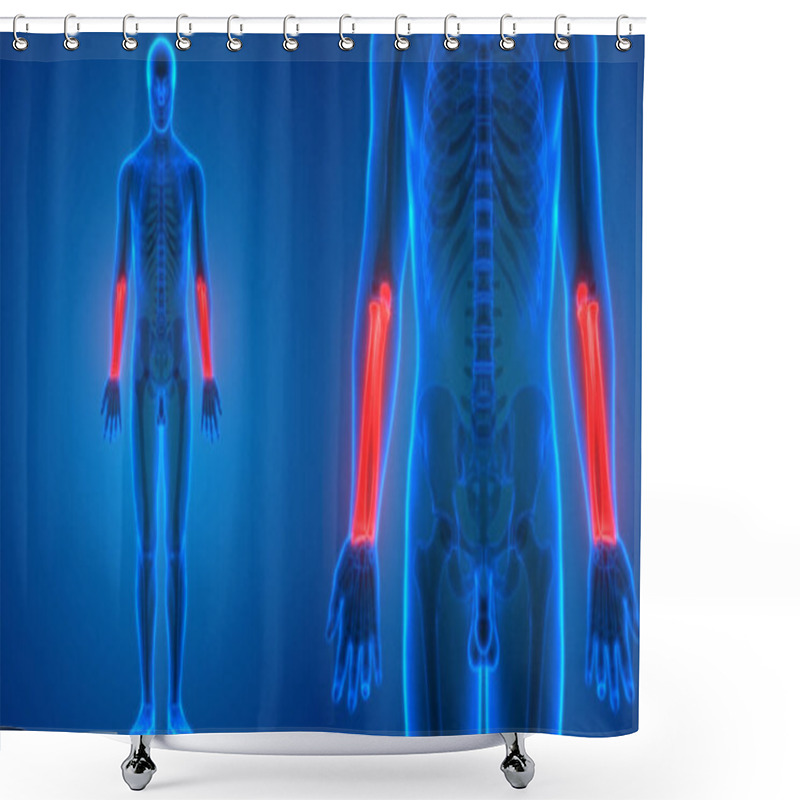 Personality  3D Illustration Of Human Skeleton System Bone Joints Anatomy Shower Curtains