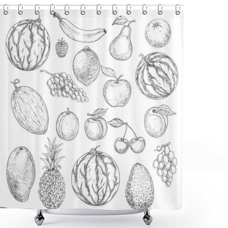 Personality  Delicious Fresh Harvested Summer Fruits Sketches Shower Curtains