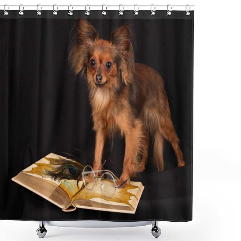 Personality  The Dog Reads The Book Shower Curtains