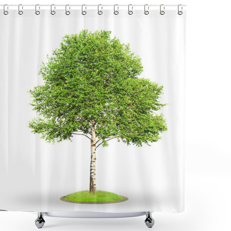 Personality  Birch Tree Isolated On White Shower Curtains