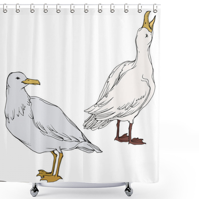 Personality  Vector Sky Bird Seagull In A Wildlife. Black And White Engraved Ink Art. Isolated Seagull Illustration Element. Shower Curtains