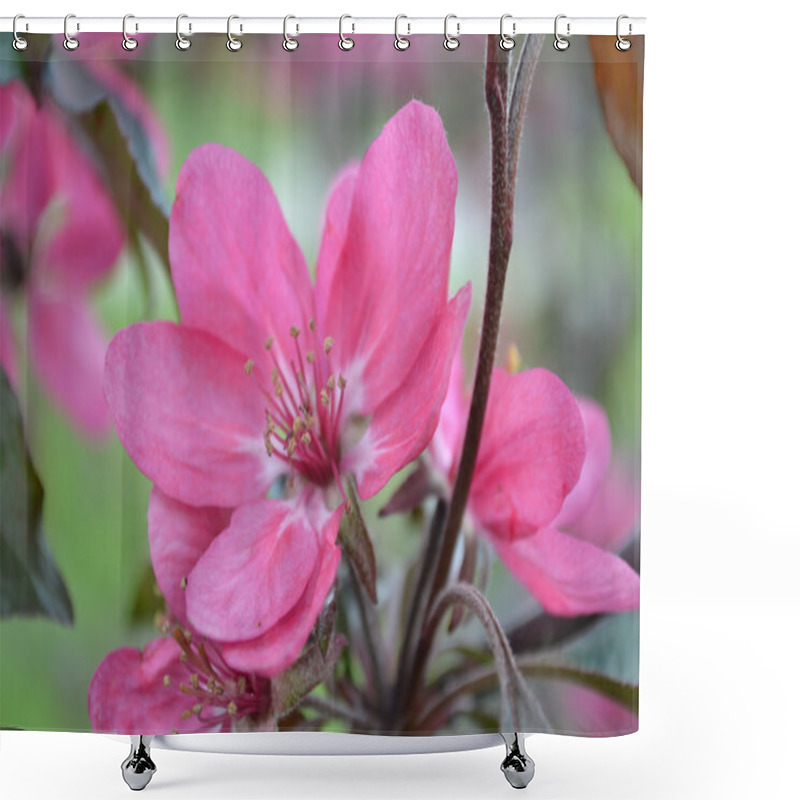 Personality  Flowers Of Apple Shower Curtains