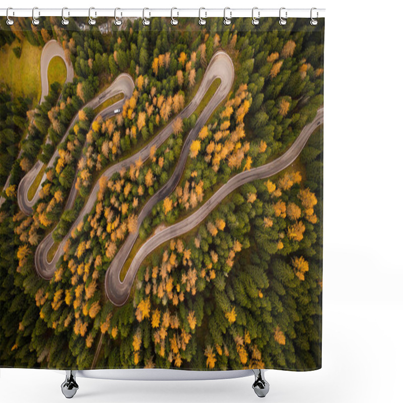 Personality  Curvy Road In Atumn Forest. Shower Curtains