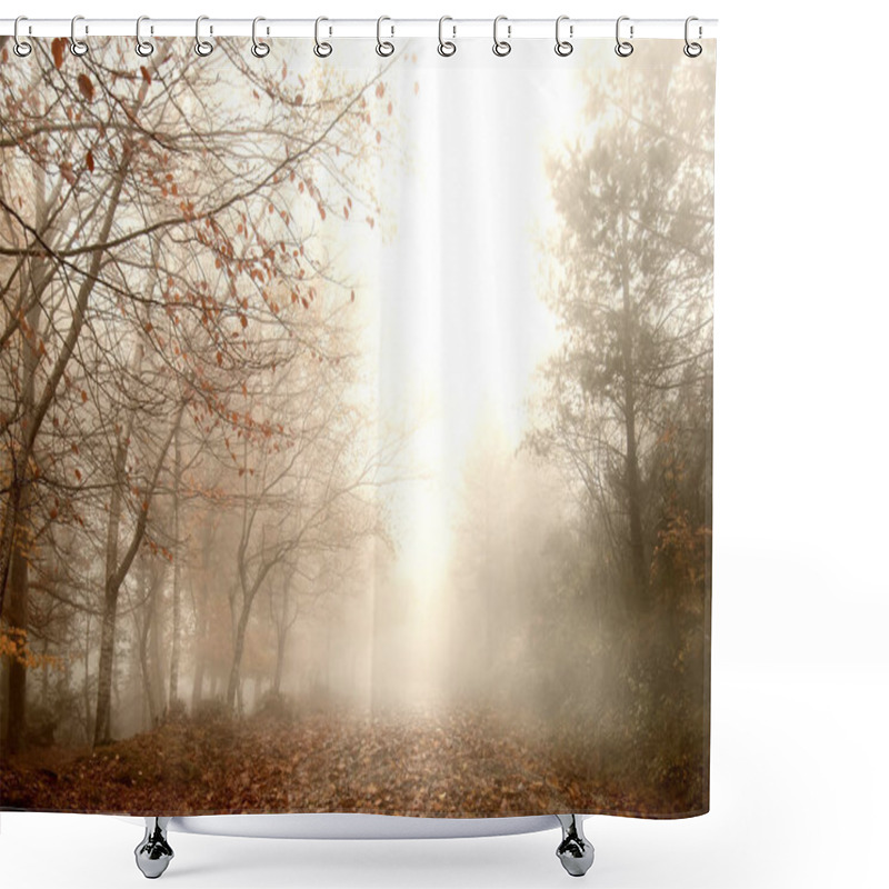 Personality  Foggy Forest Landscape Shower Curtains