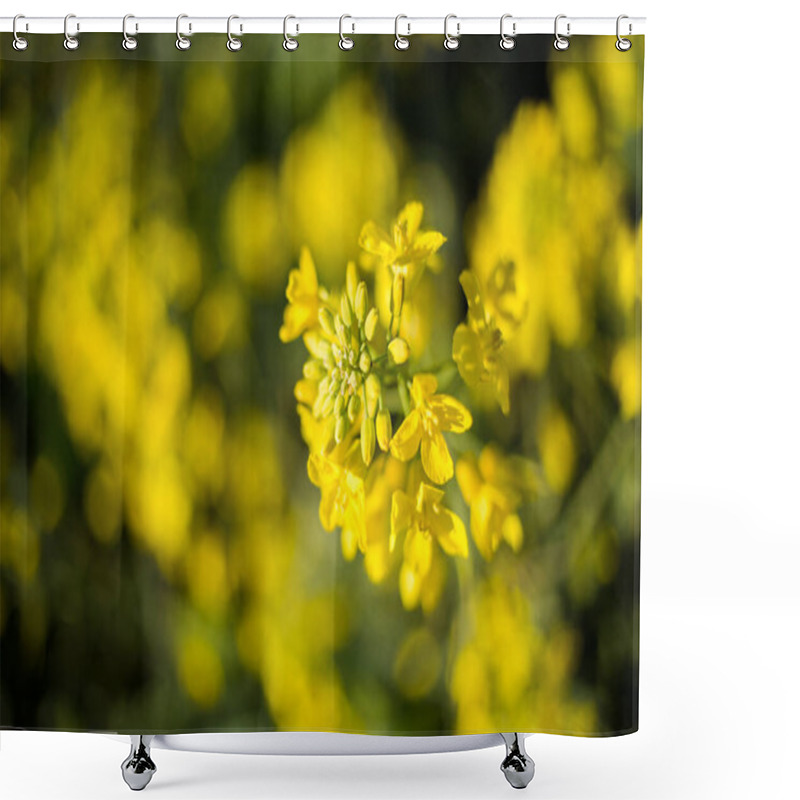 Personality  Close-up Of Vibrant Yellow Canola Flowers In Full Bloom, With A Blurred Background Of An Expansive Canola Field Under A Soft Blue Sky. Shower Curtains