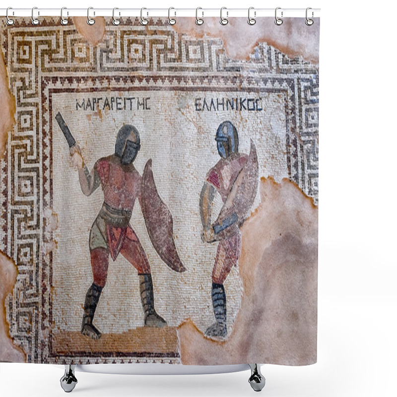 Personality  Fragment Of Ancient Mosaic In Kourion, Cyprus Shower Curtains